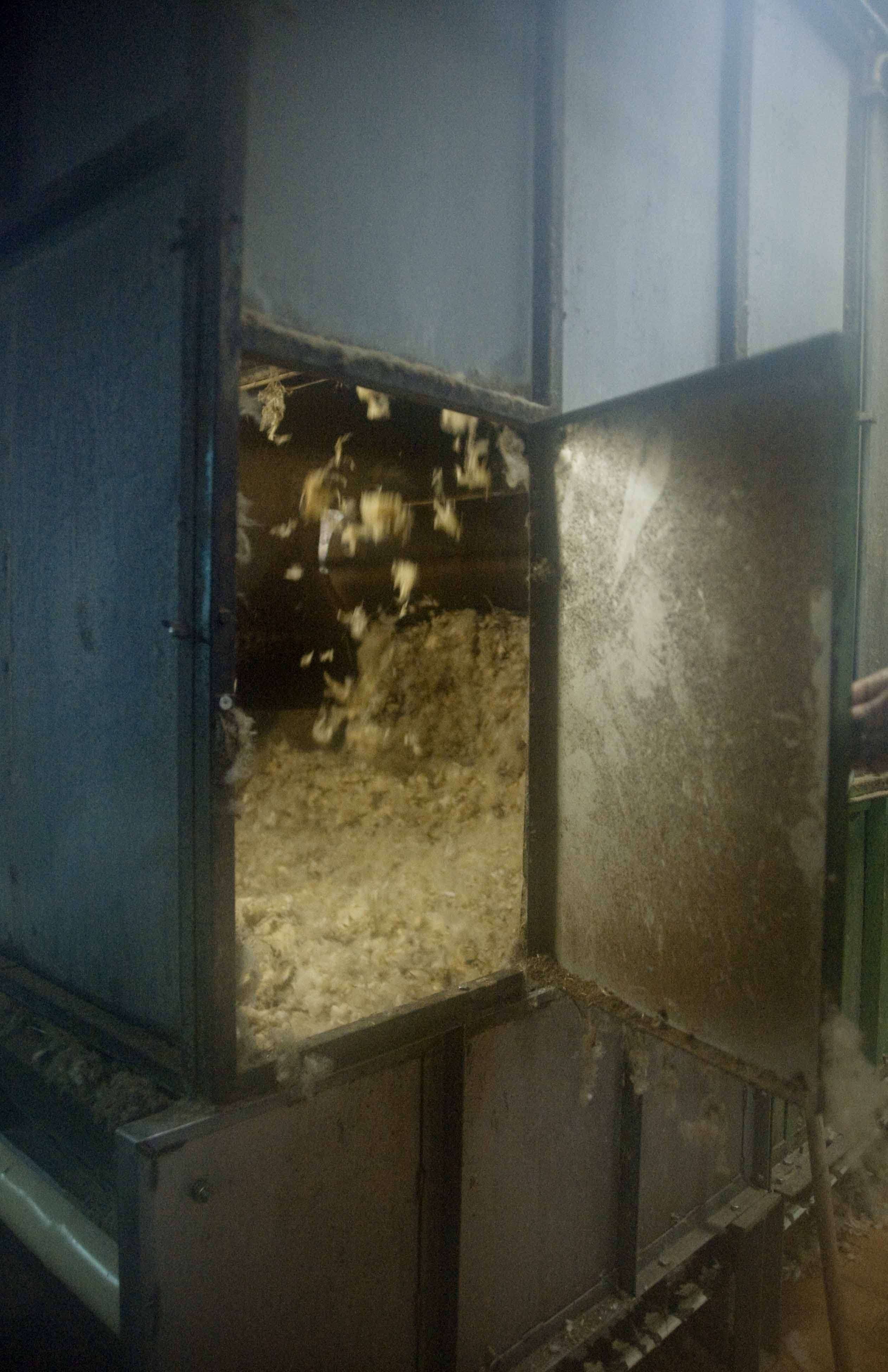 ueber-uns-unsere-wolle-wolltrocknung-web-38 Finkhof Wolle in der Wäscherei beim Trocknen