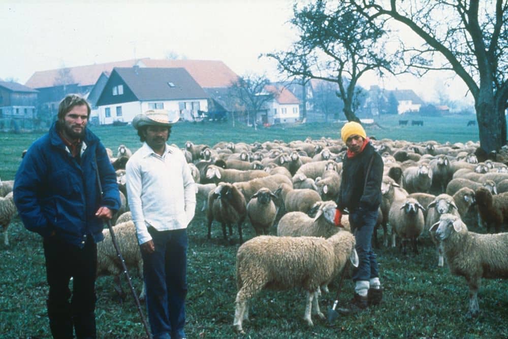 Kaffebauern aus Nicaragua neben Finkhof Schafherde in Arnach
