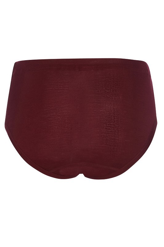 bordeauxroter Slip aus bio Wolle (kbT) und Seide, Freisteller von hinten
