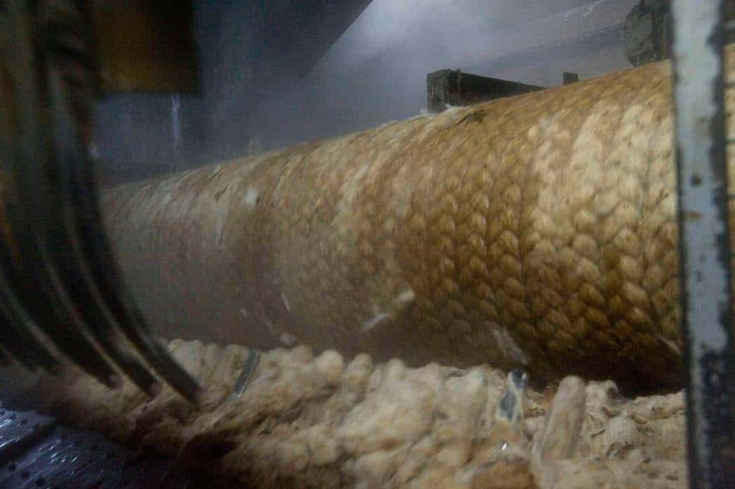 Wolle wird maschinell gewaschen