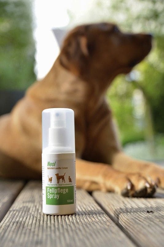Fellpflegespray 100 ml Finkhof Fellpflegespray in 100ml Sprühflasche mit braunem Hund im Hintergrund