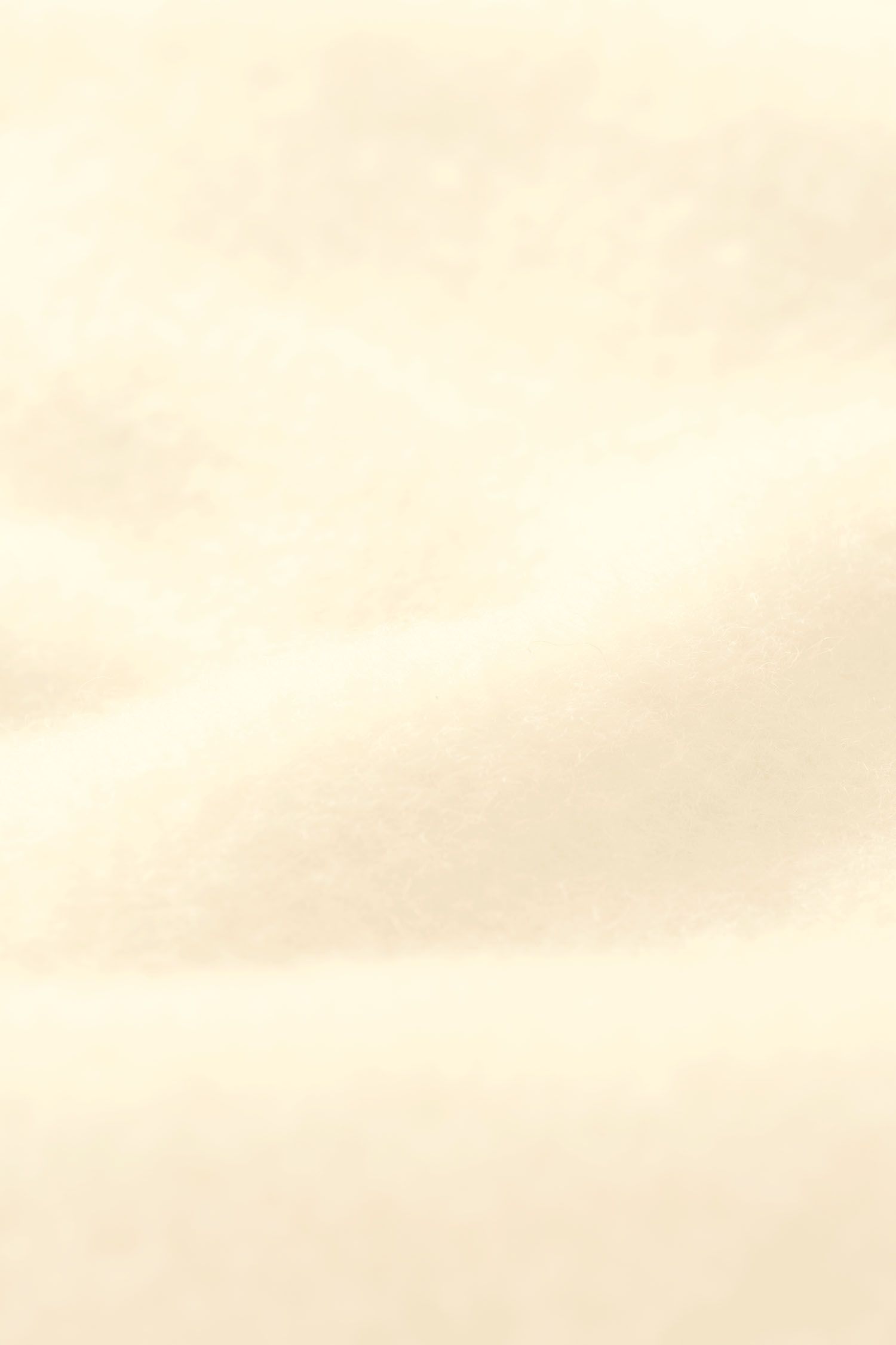 Nahaufnahme von naturweißem Lammflor