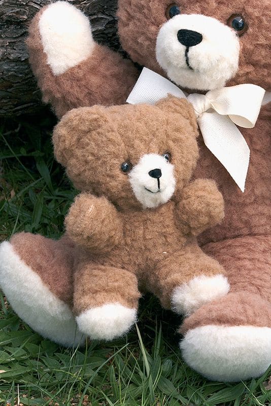 Wolltier Kleiner Bär kleiner brauner Wollbär auf großem Wollbär, Nahaufnahme