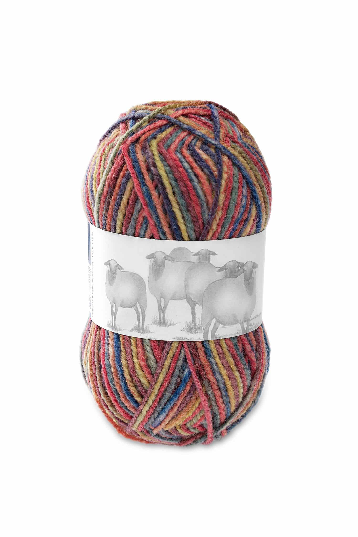 Finkhof Merinowolle dick Farbverlauf Sommerbrise ein Wollknäul der Finkhof Merinowolle mit Farbverlauf Sommerbrise aus bio Wolle (kbT), Freisteller